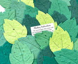 Plantable paper birch leaves