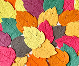 Plantable paper birch leaves