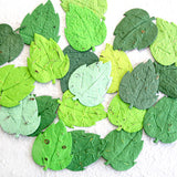 Pile of green seed paper leaves recycled ideas plantable paper