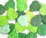 10 Flower Seed Embedded Plantable Paper Leaves