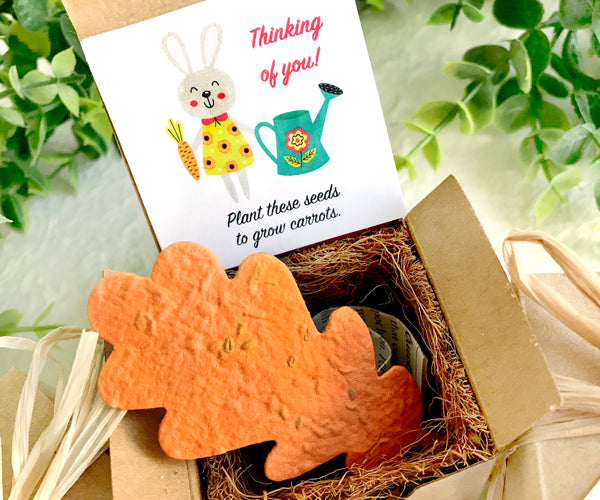 planting carrot seeds in pots Carrot Seed Starting Kit with Plantable Paper and Pot – Recycled Ideas Favors