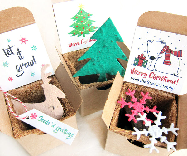 Christmas Seed Gift Box Favors with Plantable Paper and Pots – Recycled  Ideas Favors