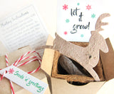 Christmas seed paper reindeer gift box with plantable paper and pots 