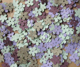 greens and purples plantable daisies