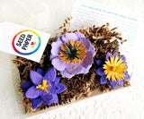 Recycled Ideas Favors plantable seed paper 3-D flowers 