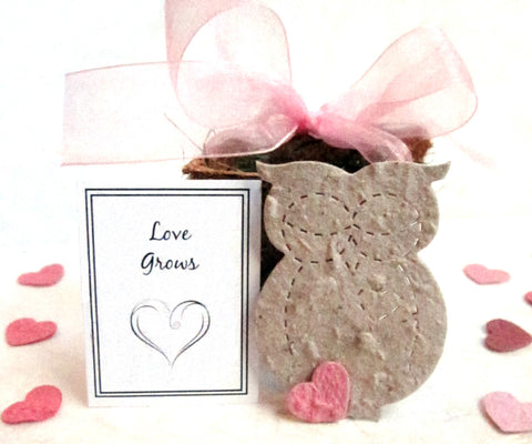 Recycled Ideas Favors plantable paper beige owl with pot, and card