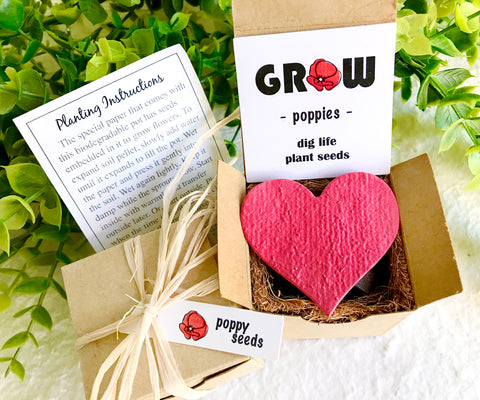 Poppy Seed Starting  Kit with Plantable Paper and Pot