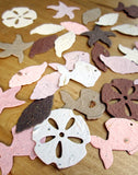 recycledideas plantable paper confetti shells pink starfish brown sand dollars recycled ideas