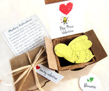 Recycled Ideas Favors plantable paper bee valentine favor with box and plantable pot