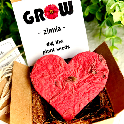 Zinnia Seed Starting  Kit with Plantable Paper and Pot