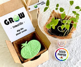 tomatillo seed paper with sprouts