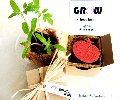 Seed Starting  Kit with Plantable Paper and Pot - Tomatoes, Basil and More