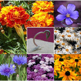 Sprouting paper from Recycled Ideas Favors with example flowers