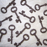 Recycled Ideas Favors plantable seed paper charcoal keys
