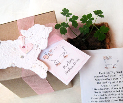 Recycled Ideas Favors plantable paper white lamb with pot, cards and gift box