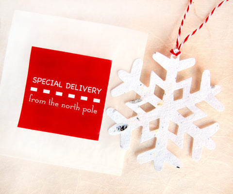 Recycled Ideas Favors plantable paper snowflake with card