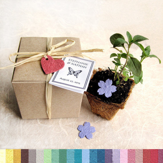 flower seed wrapping paper Plantable Seed Paper Box Kit with Plantable Pot 25 / No thank you