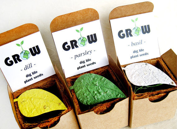 Indoor Herb Seed Garden Planting Kit