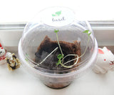 Recycled plantable paper indoor garden
