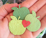 50 Confetti Apples Plantable Seed Paper