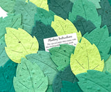 Plantable Paper Birch Leaves with Custom Cards