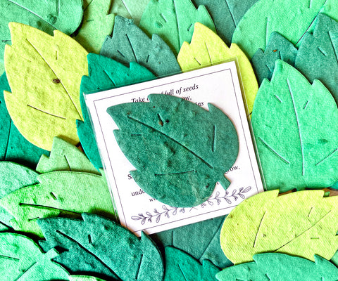 Plantable Paper Birch Leaves with Custom Cards