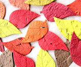 Seed paper leaves in fall colors