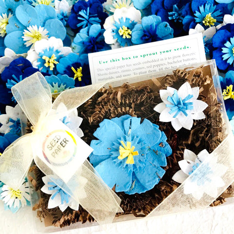 flower seeds gift box Unique Gift | Blue Seed Paper Flowers Gift Box Set