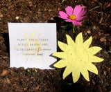 Plantable Paper Suns