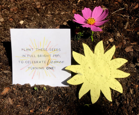 Plantable Paper Suns