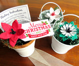 Seed paper poinsettias in white decorative wedding pails
