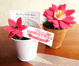 Seed paper poinsettias with plantable pots recycledideas
