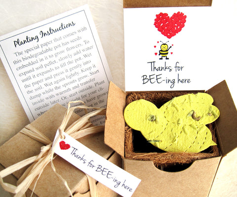How To Make Plant Seed Party Favors