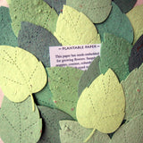 plantable paper birch leaves in assorted green seed paper