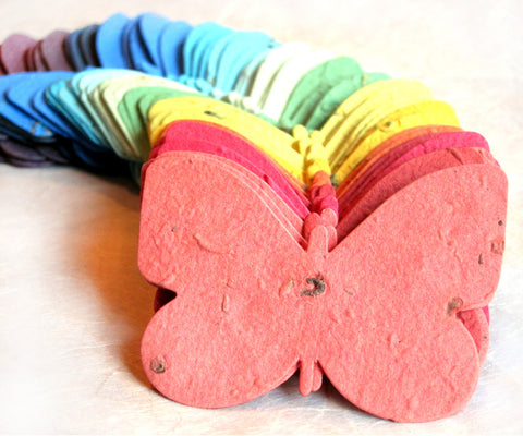 Plantable Paper Butterflies - with choice of custom personalized cards –  Recycled Ideas Favors