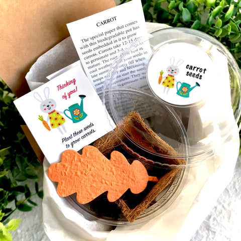 can i plant carrot seeds in a pot Carrot Seed Starting Kit with Plantable Paper and Pot – Recycled Ideas Favors