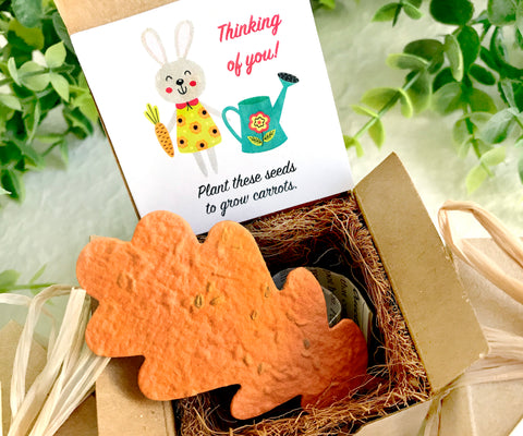 etsy plants and seeds Carrot Seed Starting Kit with Plantable Paper and Pot – Recycled Ideas Favors