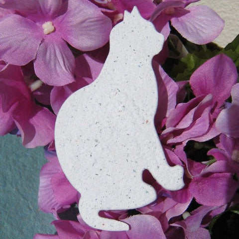 Recycled Ideas Favors plantable paper cat with catnip seeds