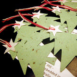 Christmas Trees Seed Paper