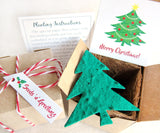 Christmas tree seed paper gift box with plantable paper and pots 