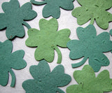 large plantable green clovers flower seed paper
