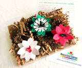 Recycled Ideas Favors plantable seed paper 3-D flowers