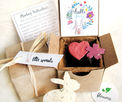 plantable seed paper bunny recycledideas favors gift box  
