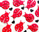 seed paper plantable lady bugs