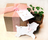 plantable paper lambs with gift box and pot