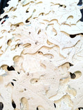 Recycled Ideas Favors plantable paper oak leaves in ivory