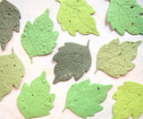 assorted green plantable paper mulberry leaves handmade paper