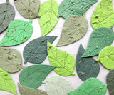 plantable paper birch leaves in assorted green seed paper