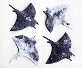 plantable paper manta rays seed paper fish