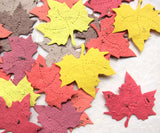 plantable seed paper maple leaves fall colors
